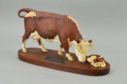 A BESWICK CONNOISSEUER HEREFORD COW AND CALF, No A2667/2669, on wooden plinth