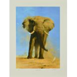 DAVID SHEPHERD (1931-2017) 'MY SAVUTI FRIEND' a limited edition print 59/350 of an elephant, signed,