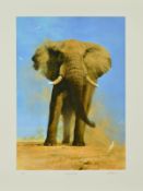 DAVID SHEPHERD (1931-2017) 'MY SAVUTI FRIEND' a limited edition print 59/350 of an elephant, signed,