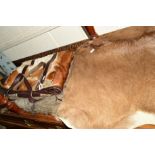 TAXIDERMY, a goat hide, wolf hide and a highland cow hide handbag (3)