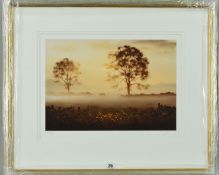 JOHN WATERHOUSE (BRITISH 1967) 'GOLDEN GATE' a limited edition print 266/495 of a view across a mist