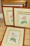 SEVEN FRAMED BOTANICAL STUDY PRINTS OF A VARIETY OF FLOWERS IN BLOOM, all mounted, framed and