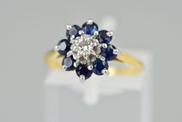 A SAPPHIRE AND DIAMOND CLUSTER RING, the central brilliant cut diamond within a circular sapphire