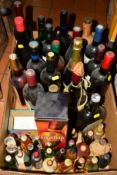 A COLLECTION OF WINE, SPIRITS AND SHERRY to include fourteen bottles of assorted wines from Europe