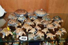 A GROUP OF WADE TORTOISES, of various sizes, to include whimsie Turtle etc (24)
