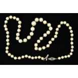 A MID TO LATE 20TH CENTURY GRADUATED AKOYA CULTURED PEARL NECKLET measuring approximately 520mm in