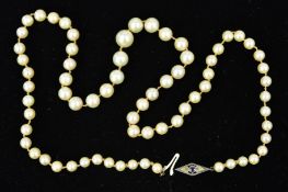 A MID TO LATE 20TH CENTURY GRADUATED AKOYA CULTURED PEARL NECKLET measuring approximately 520mm in