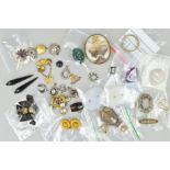 A PAIR OF LATE VICTORIAN EARRINGS, A BUG BROOCH AND A SELECTION OF MAINLY LATE 19TH TO EARLY 20TH