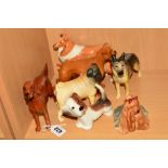 SEVEN BESWICK DOGS, Irish Setter 'Sugar of Wendover' No 966, Alsatian 'Ulrica of Brittas' No 969,