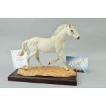 A BOXED ROYAL DOULTON LIMITED EDITION HORSE, 'Milton' DA245, No 546/1000, with certificate and