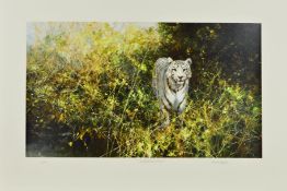 DAVID SHEPHERD (1931-2017) 'THE WHITE TIGER OF REWA', a limited edition print 264/350, signed,