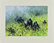 DAVID SHEPHERD (1931-2017) 'IN THE MISTS OF RWANDA', a limited edition print 7/250 of a troop of