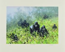 DAVID SHEPHERD (1931-2017), 'In the Mists of Rwanda' a limited edition print 12/250 of a troop of