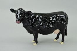 A BESWICK LIMITED EDITION BLACK GALLOWAY COW, No 4113B, produced for Collectors Club in 2002 as a
