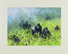 DAVID SHEPHERD (1931-2017) 'In The Mists of Rwanda', a limited edition print 16/250 of Gorillas,