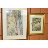 MICHAEL CRAWLEY (BRITISH CONTEMPORARY), two watercolour paintings, signed by the Derbyshire