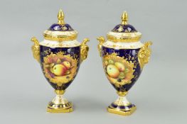 A PAIR OF COALPORT FRUIT DECORATED URN SHAPED VASES AND COVERS, cobalt ground with gilt decoration