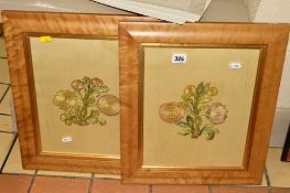 TWO SILK THREAD FLOWER EMBROIDERIES ON A CREAM SILK BACKGROUND, framed in maple and glazed,