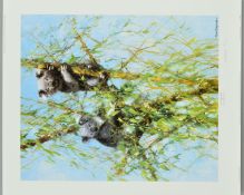 DAVID SHEPHERD (1931-2017) 'Up A Gum Tree', a limited edition print 141/950 of a Koala Bear,