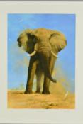 DAVID SHEPHERD (1931-2017), 'My Savuti Friend' A limited edition print of an Elephant, signed,