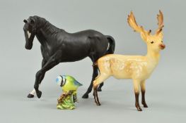 A BESWICK STAG No981, and a 'Blue Tit' No992B, together with Royal Doulton 'Black Beauty' DA65 (3)