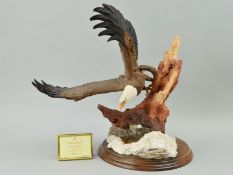 A COUNTRY ARTISTS LIMITED EDITION SCULPTURE, 'Spirit of Freedom' No207/1500, CA686, depicting