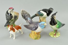 FOUR BESWICK BIRDS AND A DOG ' to include Lesser Spotted Woodpecker' No2420, 'Lapwing' No2416 (