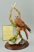 A COUNTRY ARTISTS LIMITED EDITION SCULPTURE, 'Forever Wild' No022/850, 00934, depicting a Red