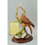 A COUNTRY ARTISTS LIMITED EDITION SCULPTURE, 'Forever Wild' No022/850, 00934, depicting a Red