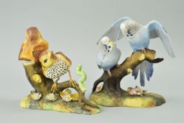 TWO ROYAL CROWN DERBY BIRDS, 'Thrush Chicks' (slight chips to flowers) and 'Budgerigars' (chips to