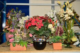 A QUANTITY OF DRIED FLOWER STYLE ORNAMENTS in a variety of planters (14)