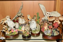 A GROUP OF OWL ORNAMENTS, to include Border Fine Arts and Country Artists, 'Snowy Owl with