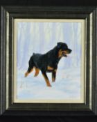 JOHN SILVER (BRITISH CONTEMPORARY), 'Rotweiler Pinscher', a dog in snow, oil on board, signed and