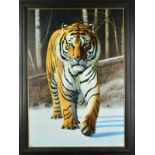 GARY STINTON (BRITISH 1961), 'Tiger in Snow', a limited edition print 13/195, signed bottom right,