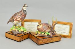 TWO ROYAL WORCESTER LIMITED EDITION BOB-WHITE QUAIL FEMALE AND MALE FIGURES, modelled by R. Van