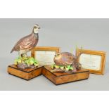 TWO ROYAL WORCESTER LIMITED EDITION BOB-WHITE QUAIL FEMALE AND MALE FIGURES, modelled by R. Van