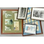 A MISCELLANEOUS COLLECTION OF FRAMED SPORTING MEMORABILIA AND CIGARETTE CARDS, featuring a Sir