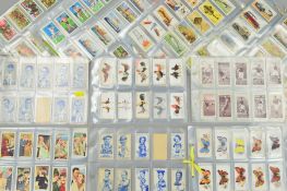 A LARGE COLLECTION OF CIGARETTE CARDS, loosely inserted in plastic sleeves, featuring
