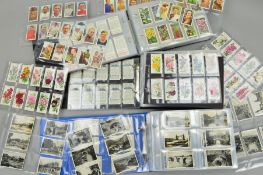 A CIGARETTE CARD COLLECTION, in three ring binder albums featuring a complete Will's album with a '