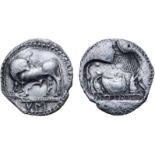 Lucania, Sybaris AR Drachm. Circa 530-510 BC. Bull standing left, head right; VM in exergue / Incuse