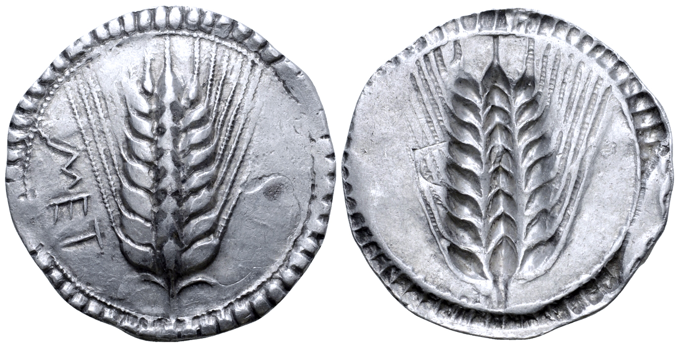 "Lucania, Metapontion AR Stater. Circa 540-510 BC. Barley ear of eight grains; MET downwards to left