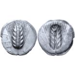 "Lucania, Metapontion AR Stater. Circa 540-510 BC. Barley ear of seven grains; MET downwards to left