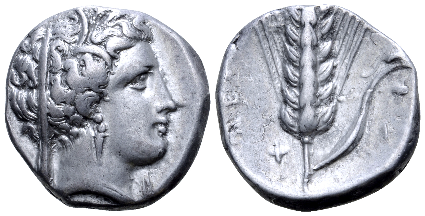 "Lucania, Metapontion AR Stater. Circa 340-330 BC. Wreathed head of Demeter right; Φ below chin /