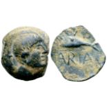 "Spain, Cunbaria Æ17. Circa 1st Century BC. Male head right; S to left / Fish left, [CUNB]-ARIA