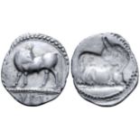 "Lucania, Sybaris AR Drachm. Circa 530-510 BC. Bull standing left, head right; VM in exergue /