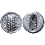 "Lucania, Metapontion AR Stater. Circa 540-510 BC. Barley ear of six grains; ME upward on right,