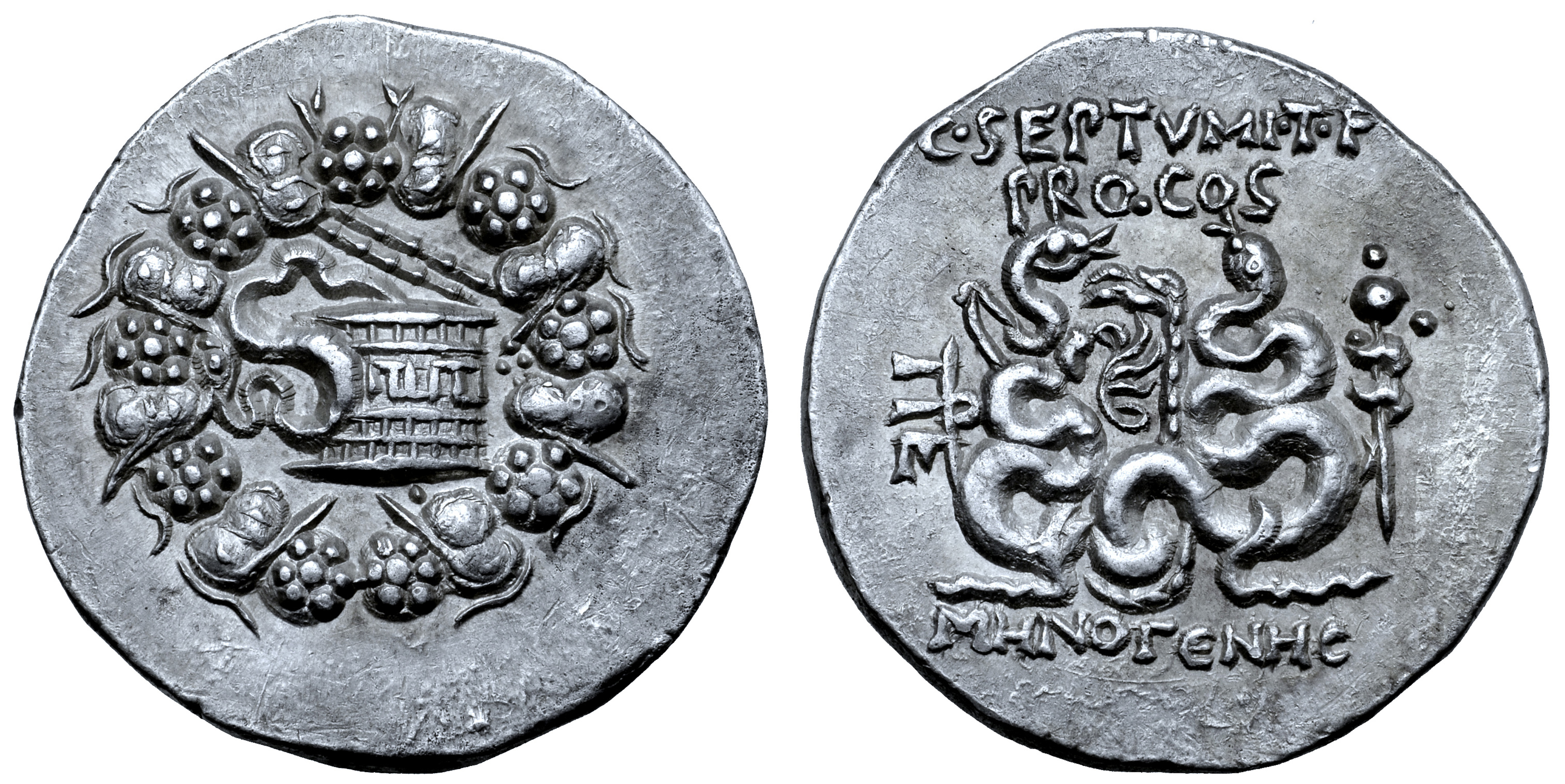 C. Septimius T. f. AR Cistophoric Tetradrachm. Menogenes, magistrate. Pergamum, 57-55 BC. Serpent