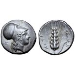 Lucania, Metapontion AR Stater. Circa 340-330 BC. Head of Athena Tharragoras right, wearing