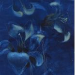 Jean Duncan, RUA - NIGHT LILIES - Coloured Lithograph - 16 x 15 inches - Signed