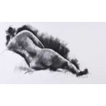 Colin Davis - RECLINING NUDE STUDY - Charcoal on Paper - 14 x 23 inches - Signed